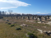 Satılır 200 sot torpaq Lənkəran