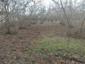 Satılır 16 sot torpaq Xaçmaz