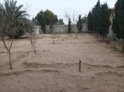 Satılır 4.5 sot torpaq Şüvəlan