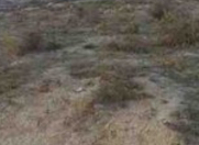 Satılır 3 sot torpaq Məhəmmədli