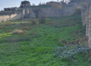 Satılır 13 sot torpaq Görədil