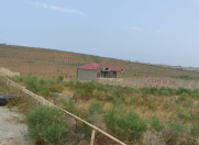 Satılır 4 sot torpaq Novxanı