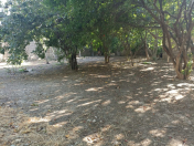 Satılır 3.65 sot torpaq Buzovna