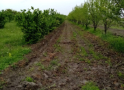 Satılır 35 sot torpaq Xaçmaz