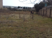 Satılır 30 sot torpaq Novxanı