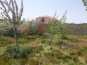 Satılır 6 sot torpaq Fatmayı