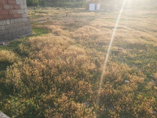 Satılır 6 sot torpaq Sulutəpə