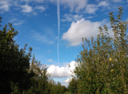 Satılır 200 sot torpaq Quba