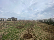 Satılır 18 sot torpaq Şüvəlan