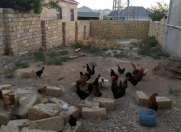 Satılır 2 sot torpaq Saray