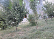 Satılır 5 otaqlı 12 m2 yeni tikili Şəki