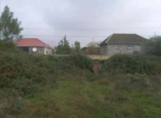 Satılır 100 sot torpaq Masallı