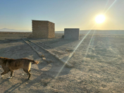 Satılır 439 sot torpaq Perekeşkül