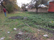 Satılır 5 sot torpaq Qəbələ