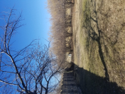 Satılır 18 sot torpaq Qəbələ