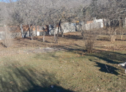 Satılır 3 otaqlı 100 m2 həyət evi İsmayıllı