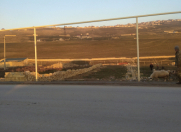 Satılır 2 sot torpaq Qobu