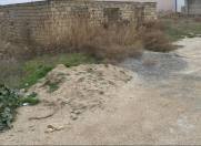 Satılır 12 sot torpaq Binəqədi