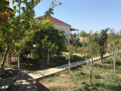 Satılır 3 otaqlı 73 m2 bağ evi Novxanı