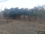 Satılır 28 sot torpaq Sumqayıt