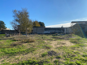 Satılır 8 sot torpaq Şağan