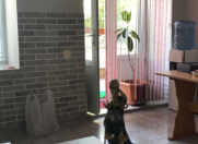 İcarəyə verilir 1 otaqlı 40 m2 ofis Nizami m.