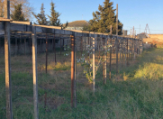 Satılır 12 sot torpaq Bilgəh