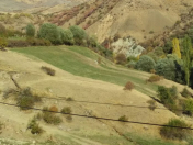 Satılır 20 sot torpaq Naxçıvan