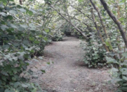 Satılır 4 otaqlı 110 m2 bağ evi Xaçmaz