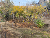 Satılır 4 sot torpaq Badamdar