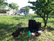 Satılır 2 otaqlı 65 m2 bağ evi Quba