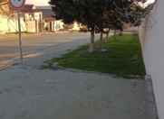 Satılır 3 sot torpaq Digah