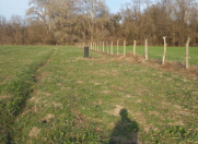 Satılır 130 sot torpaq Xudat