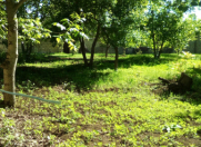 Satılır 10 sot torpaq Şamaxı