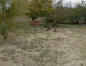 Satılır 7.97 sot torpaq Sumqayıt