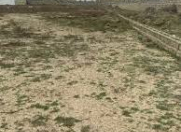 Satılır 6 sot torpaq Qala