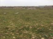 Satılır 8 sot torpaq Hökməli