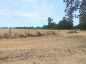 Satılır 6 sot torpaq Xaçmaz