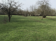 Satılır 63 sot torpaq Qəbələ