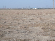 Satılır 1000 sot torpaq Ağdaş