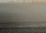 Satılır 800000 sot torpaq Xızı