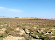 Satılır 450 sot torpaq Məhəmmədli