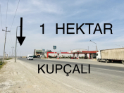 Satılır 100 sot torpaq Novxanı
