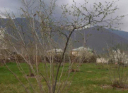 Satılır 10 sot torpaq Qax