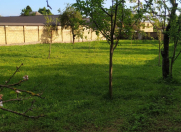 Satılır 7 sot torpaq Qəbələ