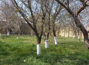 Satılır 12.5 sot torpaq Novxanı