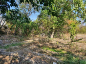 Satılır 6 sot torpaq Mingəçevir