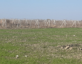 Satılır 14580 sot torpaq Cəlilabad