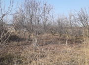 Satılır 20 sot torpaq Ağdaş