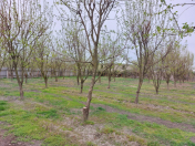 Satılır 4 otaqlı 140 m2 həyət evi Ağdaş